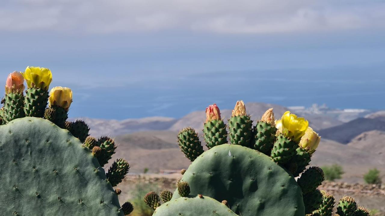 Puerto Rico Top Teide And Amadores View Eksteriør bilde