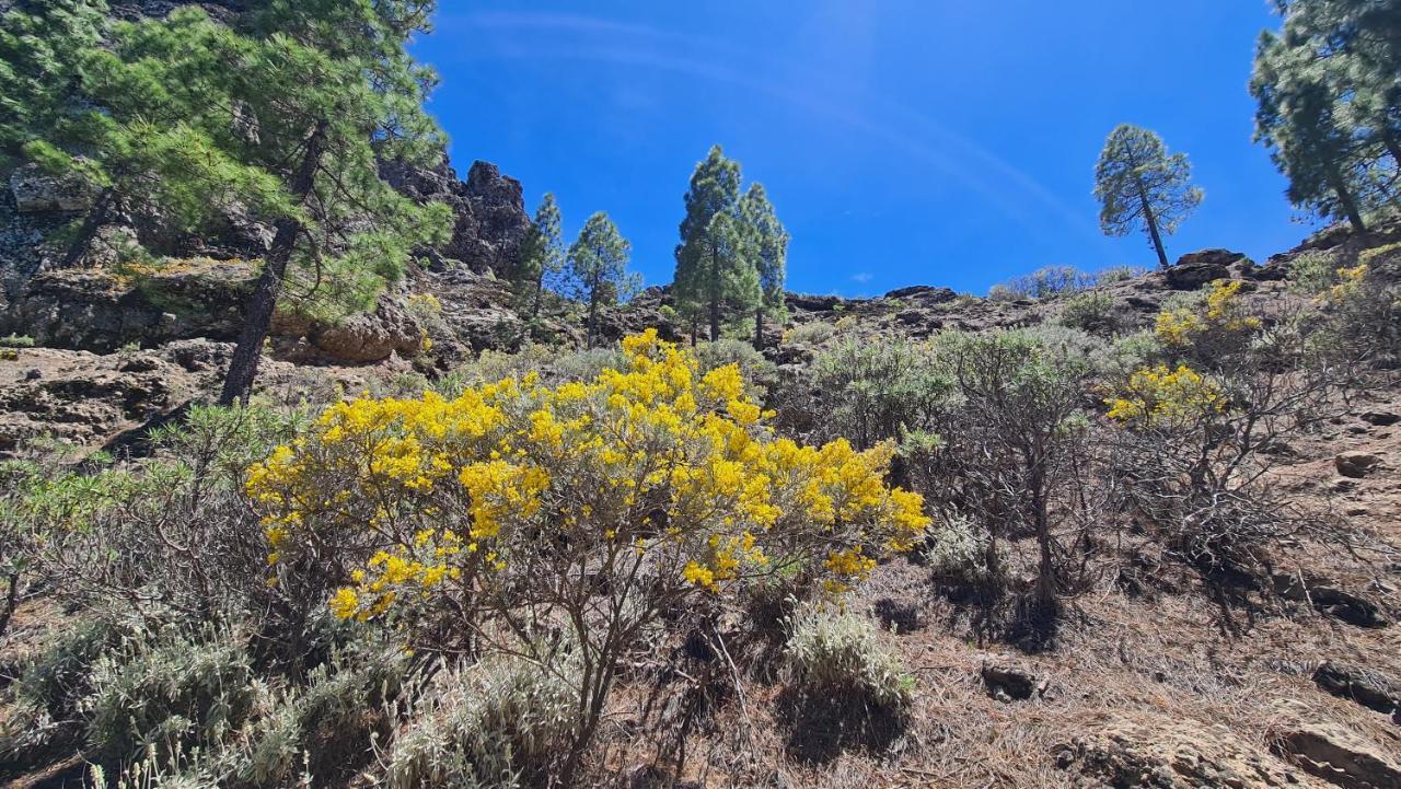 Puerto Rico Top Teide And Amadores View Eksteriør bilde